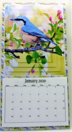 Blue Bird by Michelle Chivers