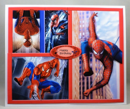 Spiderman 1  by Michelle Chivers