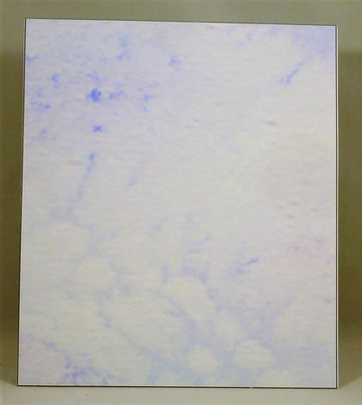 Giant Gift Tag Card - Bouquet on Blue by Michelle Chivers
