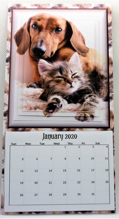 Loveable Cats and Dogs 2020 Calendar by Michelle Chivers