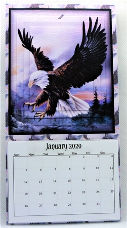 Eagle 2020 Calendar by Michelle Chivers