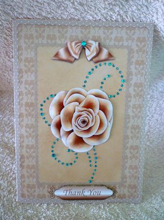Peach Rose & Lace by Michelle Chivers