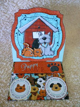 Cats an Dogs by Michelle Chivers