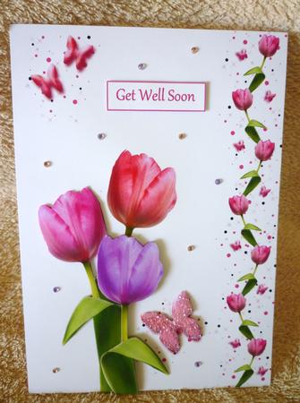 Pink Tulip & Butterfly Wishes Step by Step by Michelle Chivers