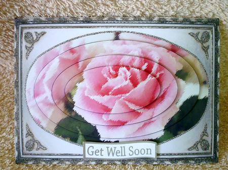 Soft and Preety Pink Roses with Silver and Black by Michelle Chivers