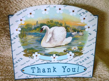 Swan Thank You by Michelle Chivers