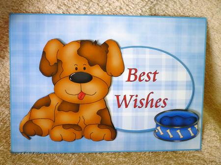 Rex Quick Card by Michelle Chivers