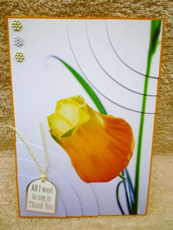 Stunning Floral 2 Corner Stacker by Michelle Chivers