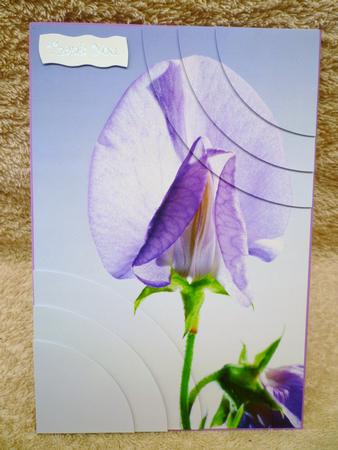 Stunning Floral 2 Corner Stacker by Michelle Chivers