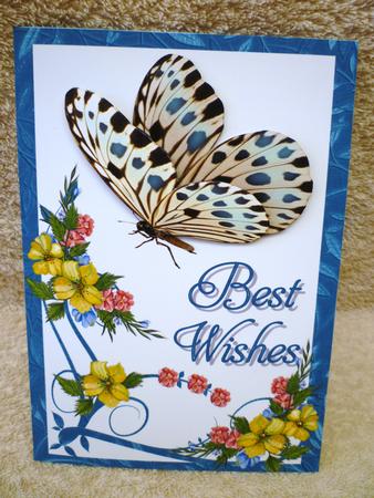 Butterfly Wishes by Michelle Chivers