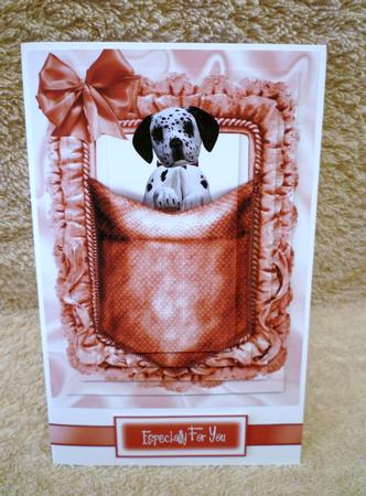 Cute Little Dalmation in Pink Pocket, Pyramids by Michelle Chivers