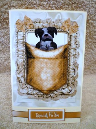 Cute Little Pooch in a Pocket, Pyramids by Michelle Chivers