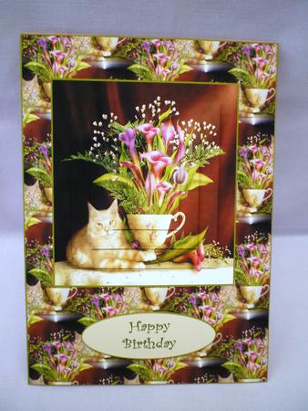 Cats by Michelle Chivers