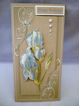 Blue Iris by Michelle Chivers