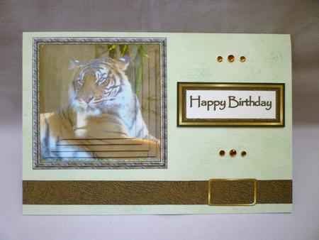 Tiger at Rest by Michelle Chivers
