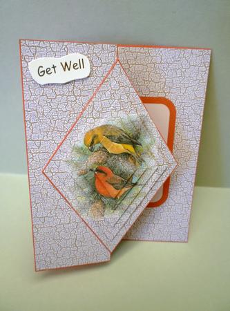Birds Fold Back by Michelle Chivers