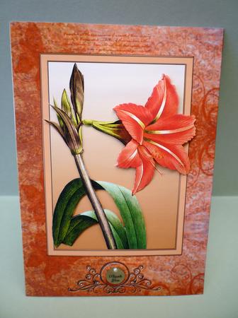 A Peach of a Flower by Michelle Chivers