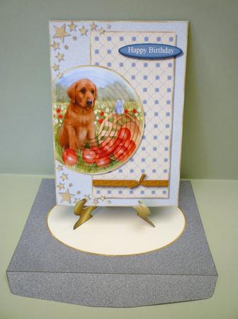 Partial Circle Pyramid Card & Envelope Kit - 4 by Michelle Chivers