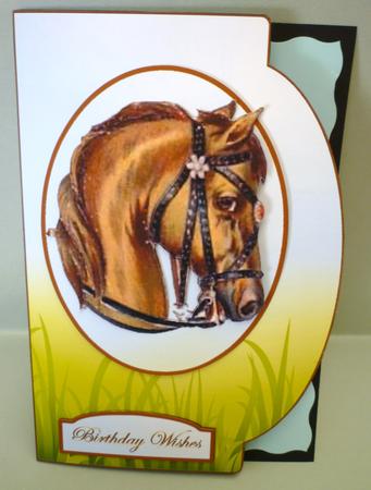 My Favourite Pony by Michelle Chivers