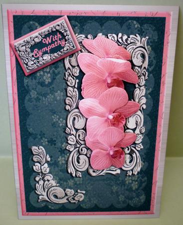 Pink Orchids with Sympathy by Michelle Chivers