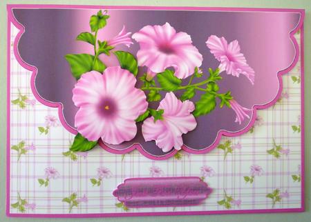 Pink Petunia Envelope Card by Michelle Chivers