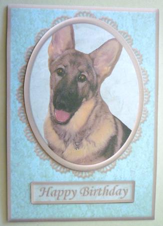 German Shepherd Blue/silver Various Occasion Card by Michelle Chivers