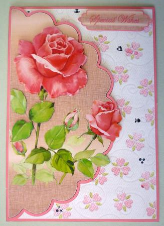 Stunning Pink Rose Envelope Cardfront by Michelle Chivers