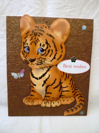 Baby Cub by Michelle Chivers