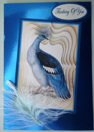 Feathered Blue by Michelle Chivers