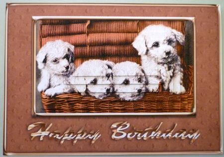 4 Cute White Puppies in a Basket Pyramid Card Front by Michelle Chivers