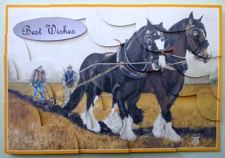 Shire Horses by Michelle Chivers