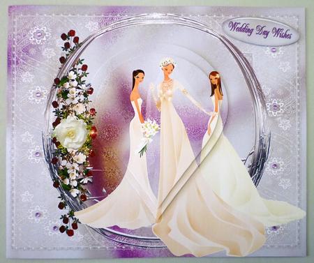 Bride and Bridemaids by Michelle Chivers