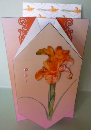 Orange Iris - Diamond Fold Card Kit by Michelle Chivers