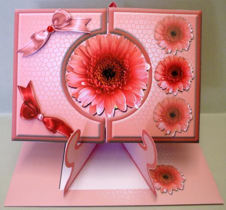 Slide-inside Pink Gerbera by Michelle Chivers