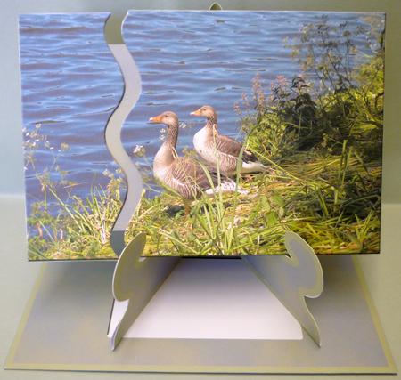 Slide-inside Goosey-goosey by Michelle Chivers