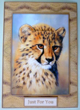 Cheetah Cub by Michelle Chivers