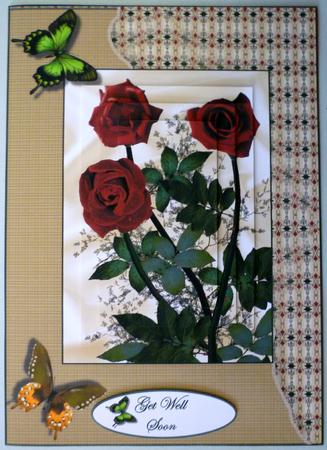 Versatile Red Roses and Butterflies by Michelle Chivers