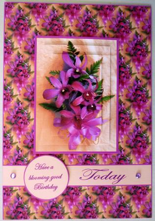 Orchid Beauty by Michelle Chivers