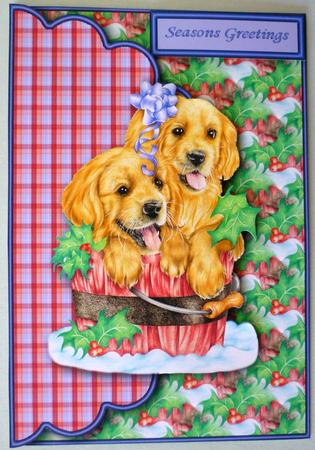 Puppies in a Bucket Envelope Card with Decoupage by Michelle Chivers