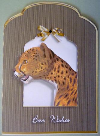 Cheetah Scalloped Top Quick Card by Michelle Chivers