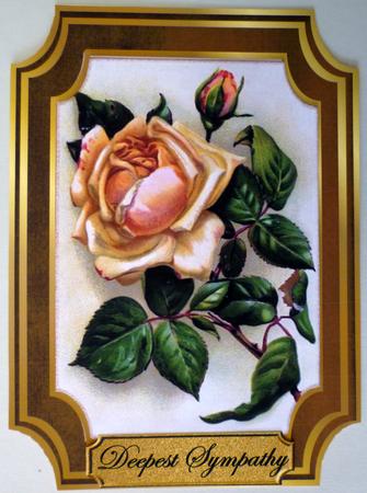 Deepest Sympathy Cream Roses in Golden Frame by Michelle Chivers