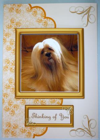 Gold Lhasa Apso Card Front with Layers by Michelle Chivers