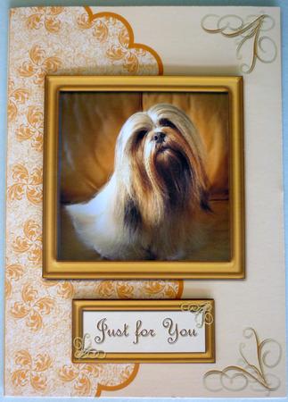 Pretty Lhasa Apso Card Front with Layers by Michelle Chivers