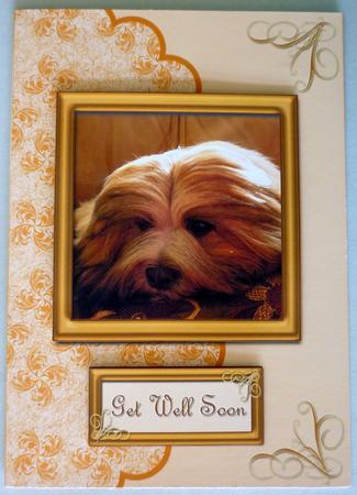 Red Puppy Lhasa Apso Card Front with Layers by Michelle Chivers
