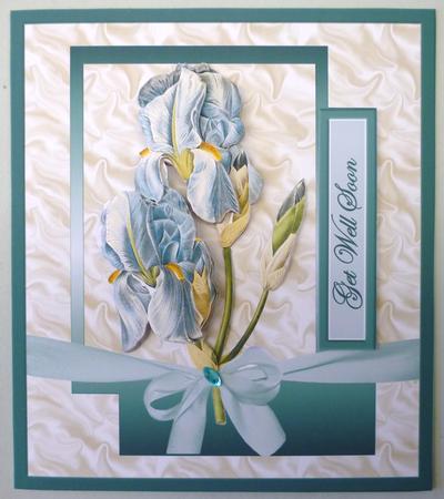 Bearded Iris by Michelle Chivers