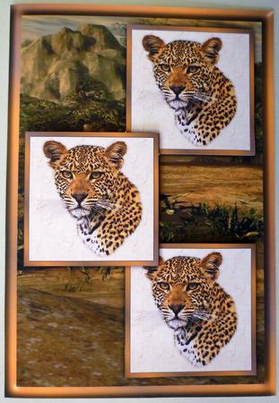 Jaguar Three Square Quick Card by Michelle Chivers