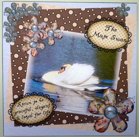 Mute Swan - Strive to Be Graceful Elegant and Loyal by Michelle Chivers