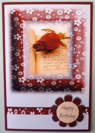Rose Happy Birthday Card Front by Michelle Chivers