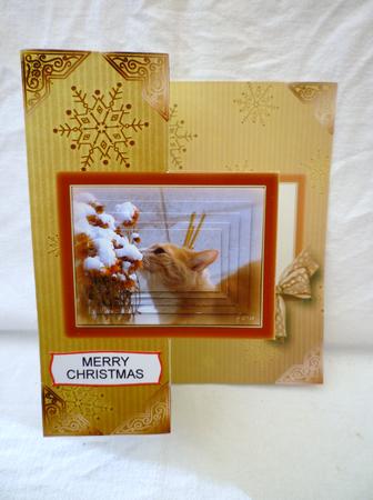 Christmas Cat Fold Back & Pyramid by Michelle Chivers