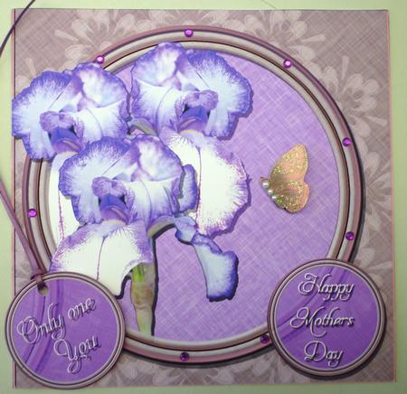 Framed Iris by Michelle Chivers